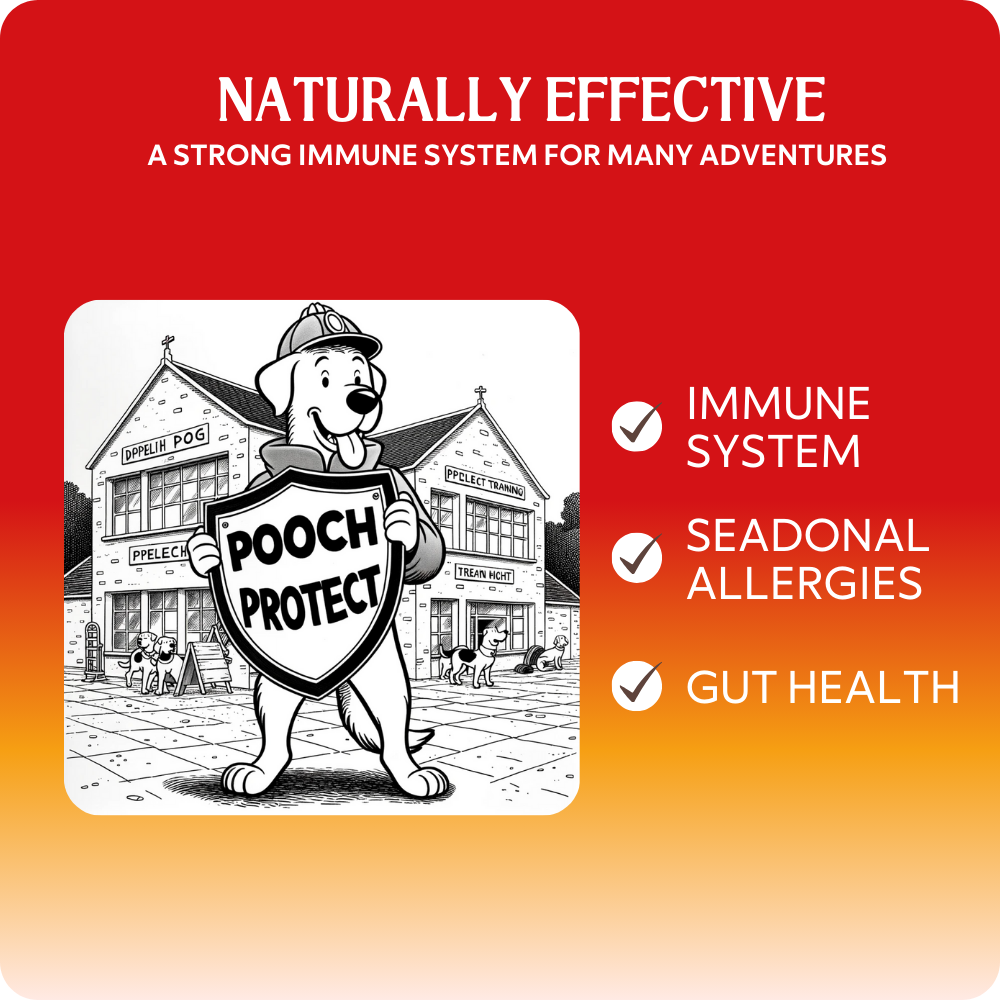 Pooch Protect (binnenkort beschikbaar)